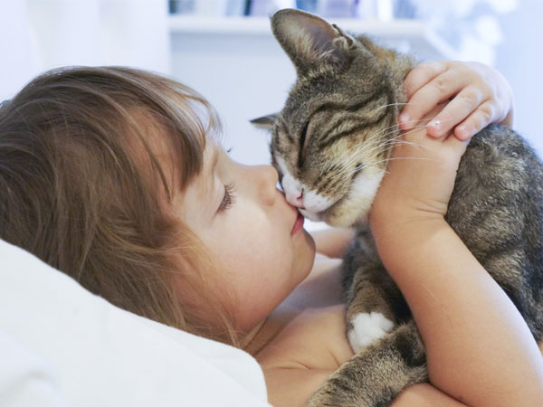 You are currently viewing Cats May Help Improve Empathy, Anxiety for Kids with Autism