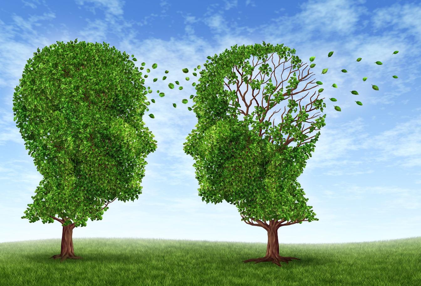 You are currently viewing FDA Approves New Treatment for Alzheimer’s Disease