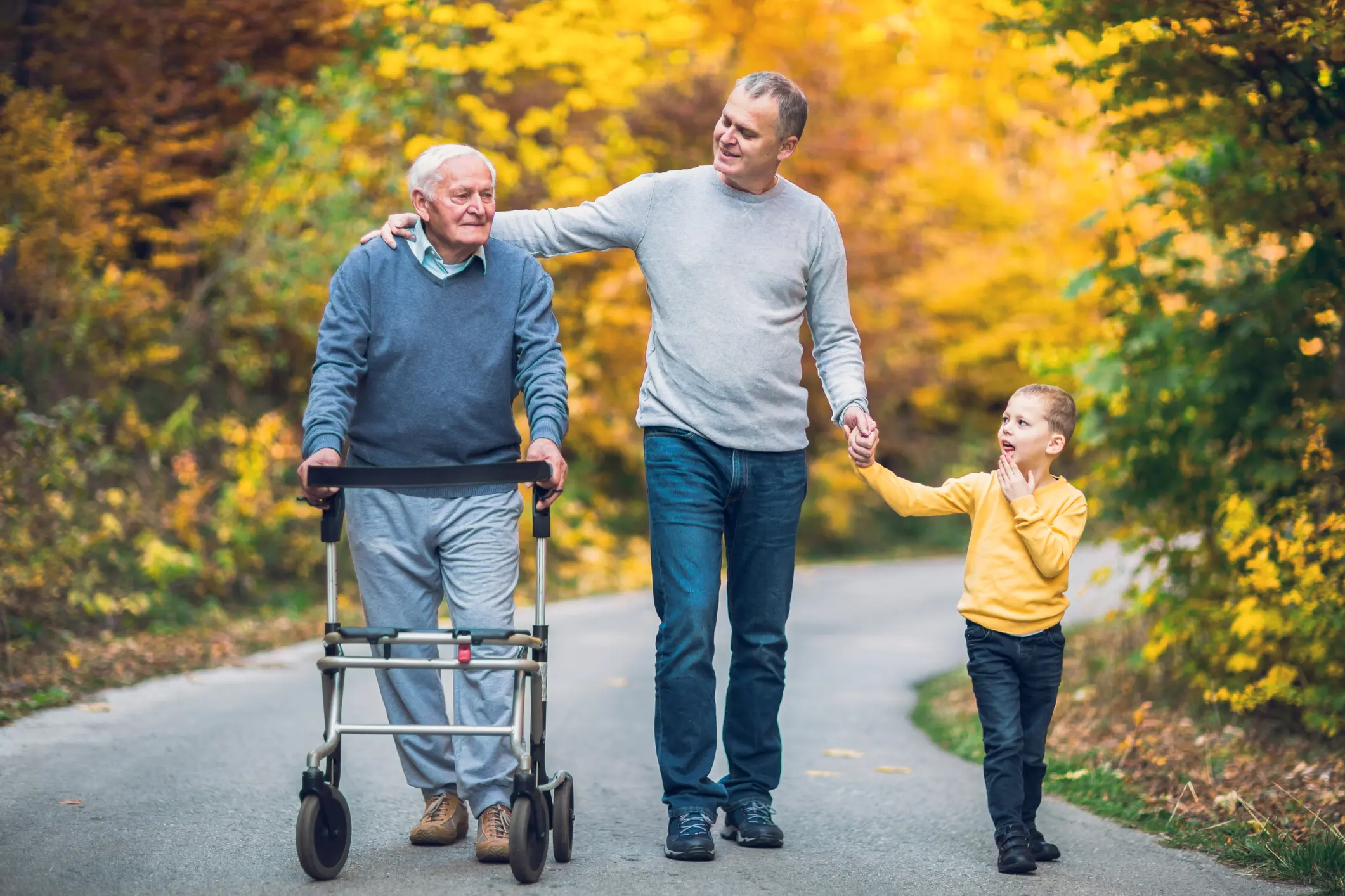 Elder Law